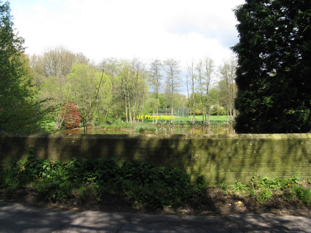 Photo 6"x4" Pond at The Furnace on Furnace Lane Horam c2010