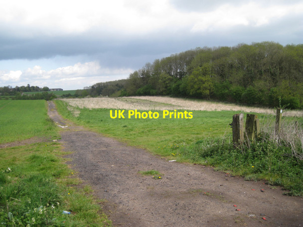 Photo 6"x4" Footpath to Grove Park Littleworth\/SP2363 c2010