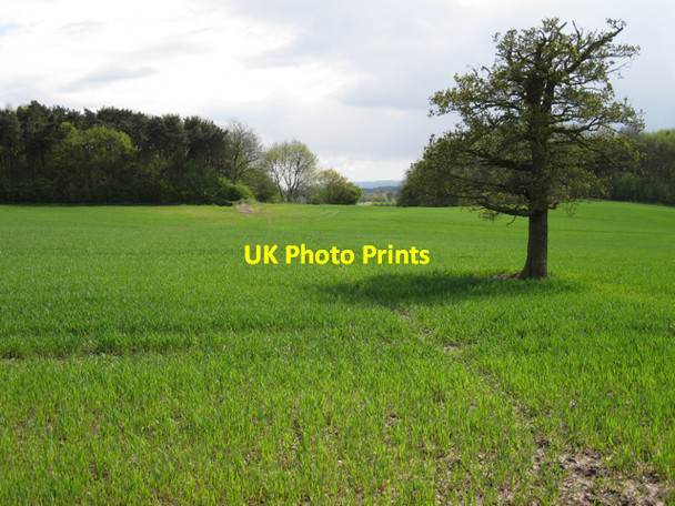 Photo 6"x4" Footpath south from Grove Park Littleworth\/SP2363 c2010
