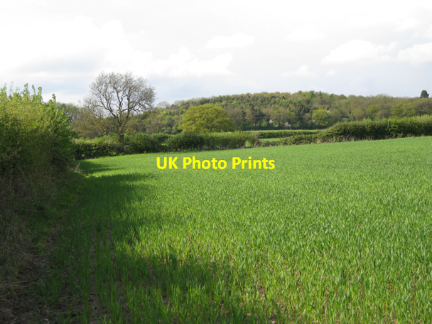 Photo 6"x4" Woodlands south of Grove Park Littleworth\/SP2363 c2010