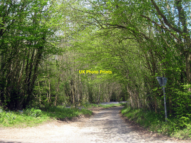 Photo 6"x4" Almshouse Road Charing Hill c2010
