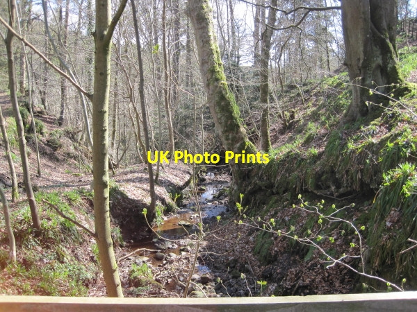 Photo 6"x4" Unnamed Beck near Common House Gilsland\/NY6366 c2010