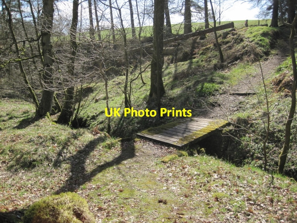 Photo 6"x4" Footbridge over Unnamed Beck Gilsland\/NY6366 c2010