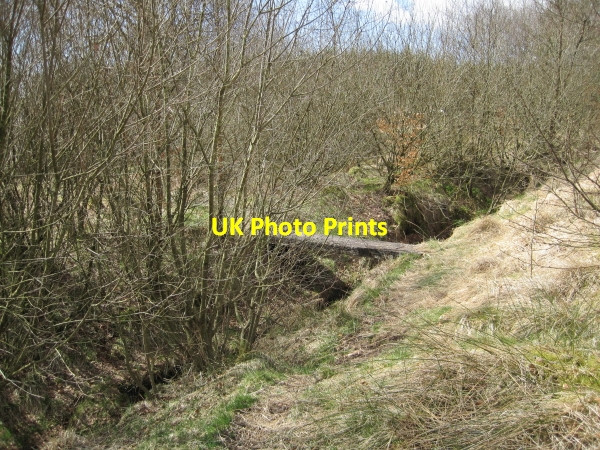 Photo 6"x4" Footbridge over Unnamed Sike Gilsland\/NY6366 c2010