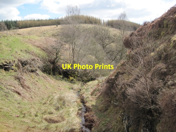 Photo 6"x4" Wobiegill Sike Gilsland\/NY6366 c2010