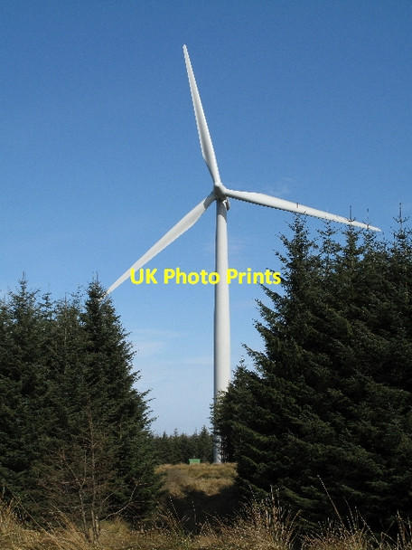 Photo 6"x4" Wind Turbine Among Trees Corse Hill\/NS5946 c2010