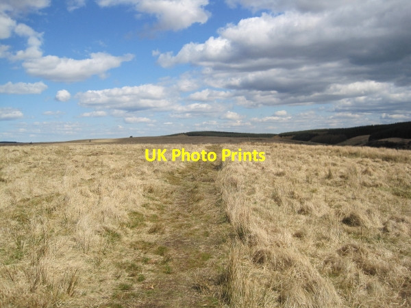 Photo 6"x4" Footpath leading to Crammel Linn Gilsland\/NY6366 c2010