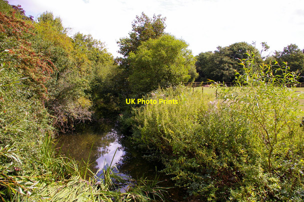 Photo 6"x4" River Colne, London Colney London Colney c2009 P2