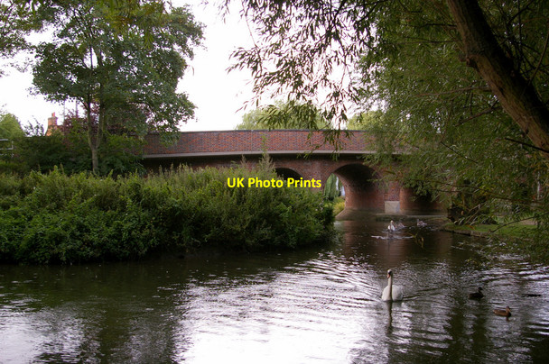 Photo 6"x4" River Colne, London Colney Broad Colney c2009 P1