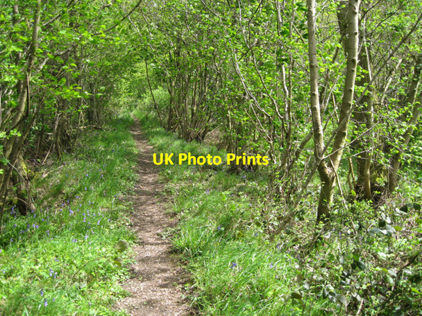 Photo 6"x4" Footpath near Grove Park: 2 Budbrooke c2010