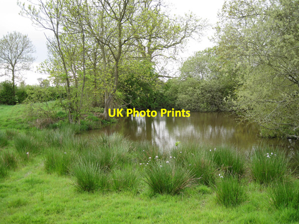 Photo 6"x4" Pond, Home Farm, Grove Park Budbrooke c2010