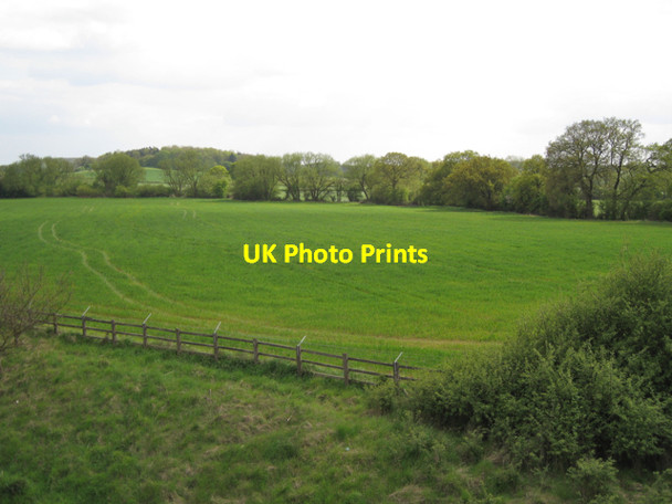 Photo 6"x4" Meadow by the Horse Brook Littleworth\/SP2363 c2010