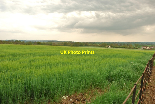 Photo 6"x4" Beer Crocombe: View of fields towards Beer Mill Farm Beercrocombe c2010