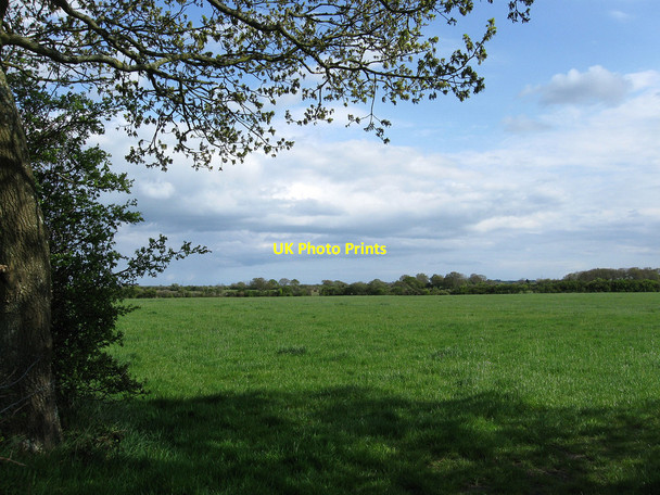 Photo 6"x4" Six Acres Hailsham c2010