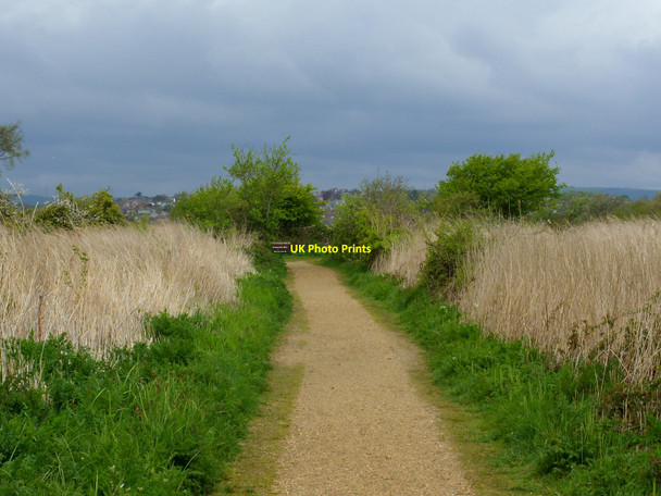 Photo 6"x4" Footpath, Radipole Lake Nature Reserve, Weymouth Weymouth\/SY6779 c2010