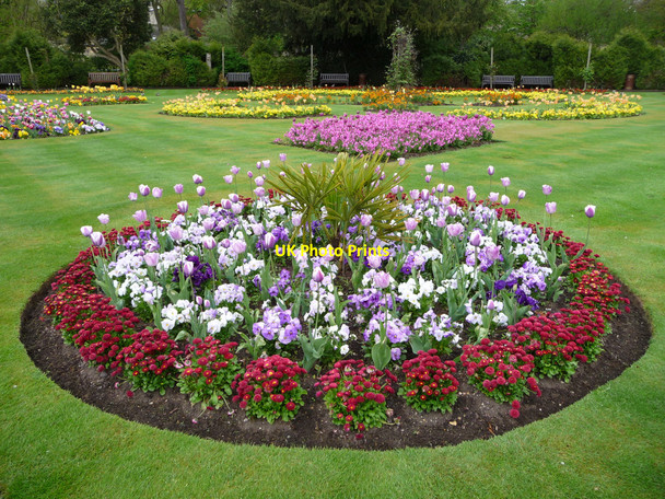 Photo 6"x4" Abbey Gardens, Bury St Edmunds, Suffolk Bury St Edmunds c2010