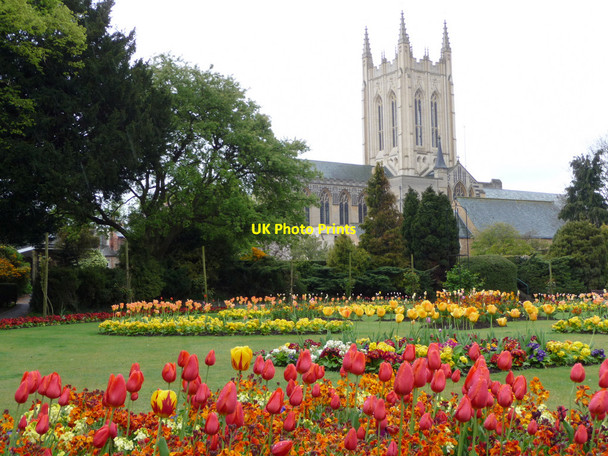 Photo 6"x4" Bury St Edmunds Cathedral, Suffolk Bury St Edmunds c2010 P1