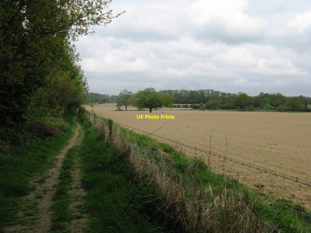 Photo 6"x4" Footpath to Warnham alongside recently planted fields Horsham\/TQ1731 c2010