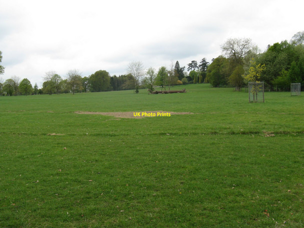Photo 6"x4" Fallen tree on the Warnham Park Estate Horsham\/TQ1731 c2010