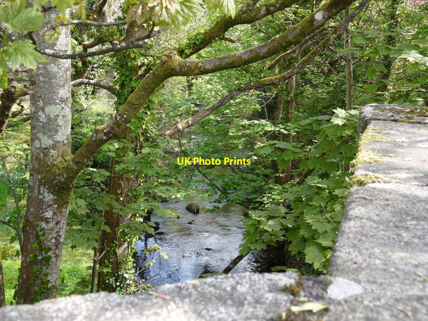 Photo 6"x4" The view downstream from Sticklepath Bridge on the river Taw Ramsley c2010
