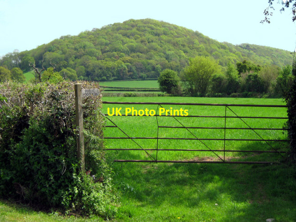 Photo 6"x4" Field gate near Haydon, with Stoke Hill beyond Taunton\/ST2324 c2010