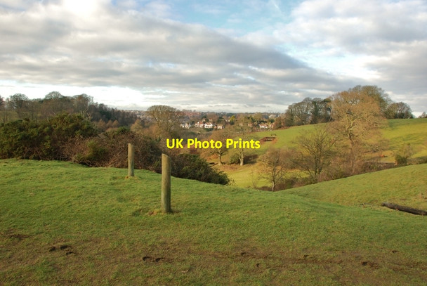Photo 6"x4" Yeovil: View down into Nine Springs Yeovil c2010