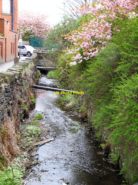 Photo 6"x4" River Beal Shaw\/SD9308 c2010