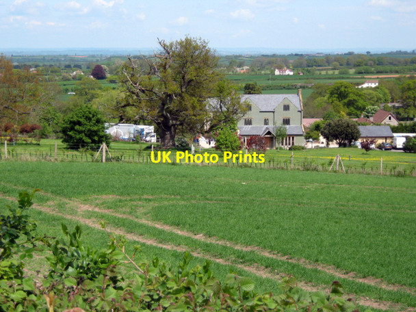 Photo 6"x4" Fields, Henlade Ash\/ST2822 c2010