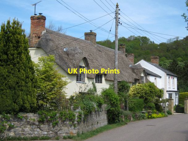 Photo 6"x4" Cottages in Stoke St Mary Stoke St Mary c2010