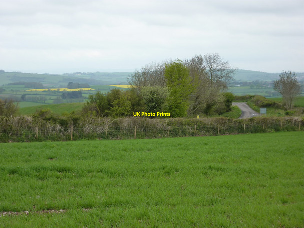 Photo 6"x4" Field near Kennels Road junction with lane leading down to Galmpton Churston Ferrers c2010