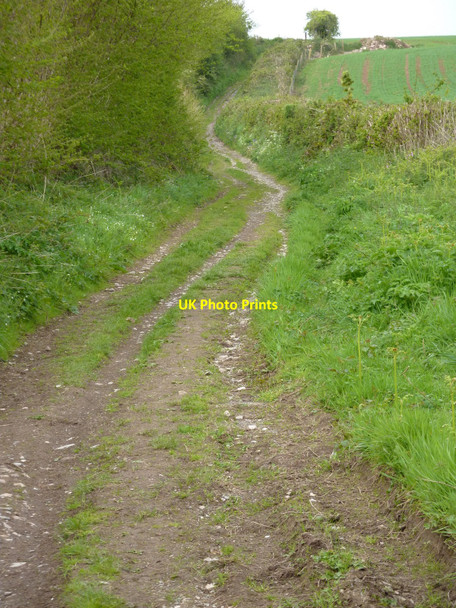 Photo 6"x4" Bridleway from Alston Lane to Kennels Road Churston Ferrers c2010