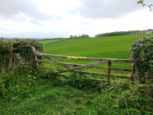 Photo 6"x4" Fieldgate on footpath, view to Brixham Churston Ferrers c2010