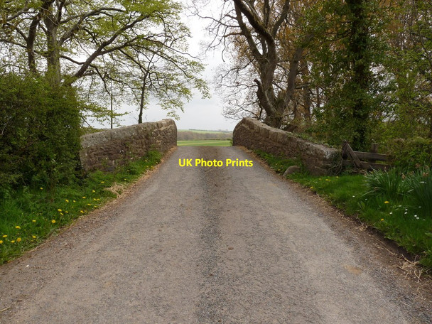 Photo 6"x4" Pecketsford Bridge on the river Taw Rowden\/SX6498 c2010 P1
