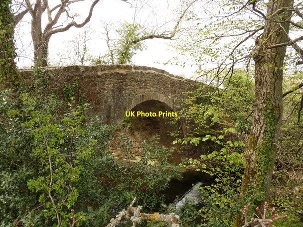 Photo 6"x4" Pecketsford Bridge on the river Taw as seen from downstream Rowden\/SX6498 c2010