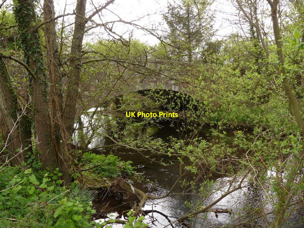 Photo 6"x4" Newland Bridge on the river Taw as seen from upstream North Tawton c2010