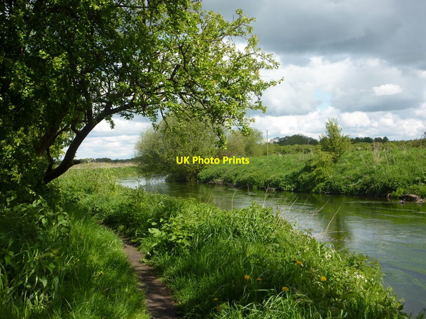 Photo 6"x4" By the River Idle north of Retford Retford c2010