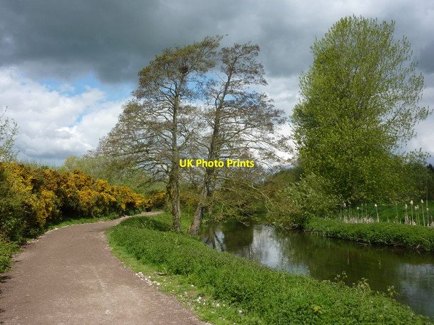 Photo 6"x4" Footpath by the River Idle Bolham\/SK7082 c2010