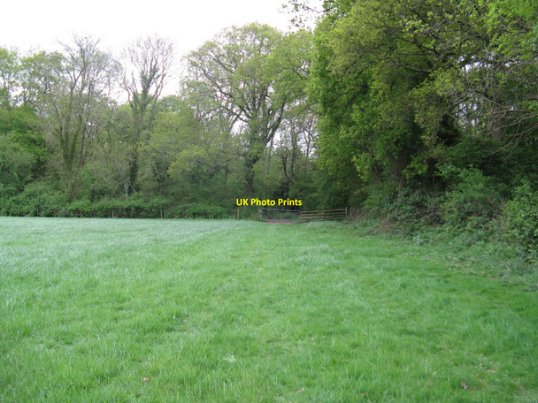 Photo 6"x4" Footpath SW to Rowhook Rowhook c2010