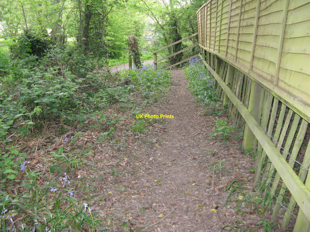 Photo 6"x4" Footpath off Waterlands Lane Rowhook c2010