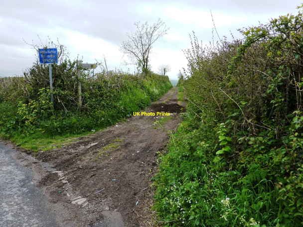 Photo 6"x4" Footpath and Bridleway from Kennels Road down to Alston Lane Churston Ferrers c2010