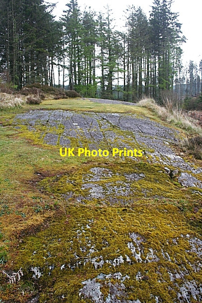 Photo 6"x4" Cup-and-Ring Marked Rocks (4) Lochgilphead c2010