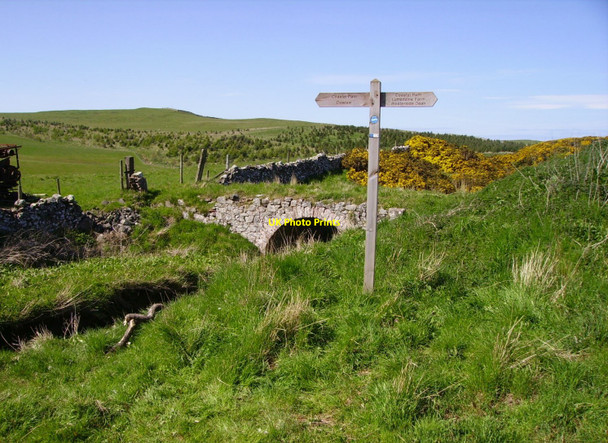 Photo 6"x4" Last coastal Path signpost Dowlaw Burn c2010