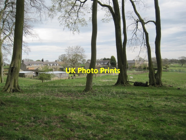Photo 6"x4" Halton Shields Halton Shields c2010 P1