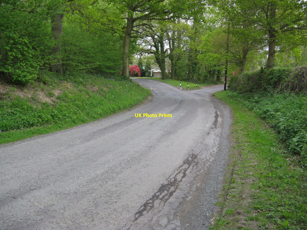 Photo 6"x4" Strood Lane approaching junction with Byfleets Lane Broadbridge Heath c2010