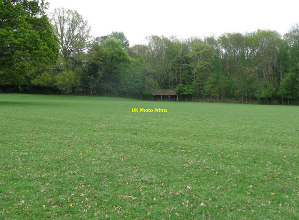 Photo 6"x4" Cattle or deer shelter on Warnham Park Estate Horsham\/TQ1731 c2010