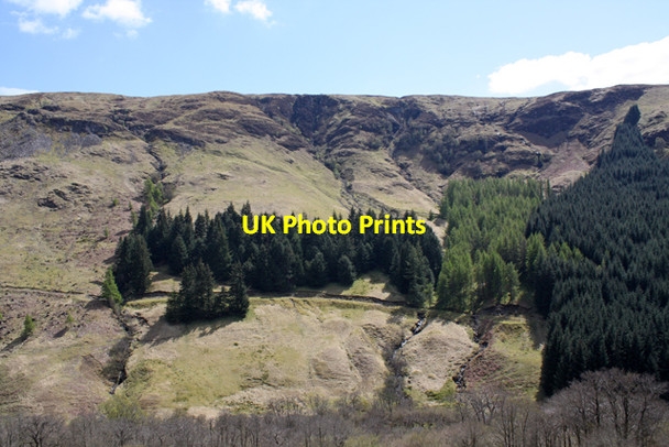 Photo 6"x4" Plantation in Glen Gloy Clunes c2010