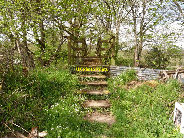 Photo 6"x4" Brushford Bridge on the River Taw Brushford\/SS6707 c2010 P1