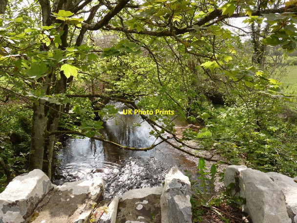 Photo 6"x4" The view upstream from Coldridge Bridge on the river Taw Brushford\/SS6707 c2010