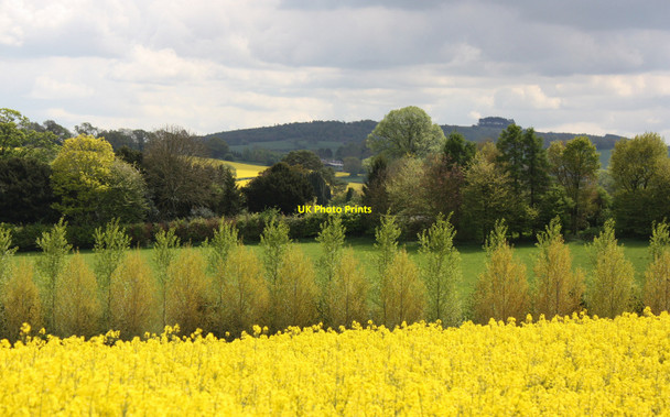 Photo 6"x4" View to May Hill summit Bromsash c2010