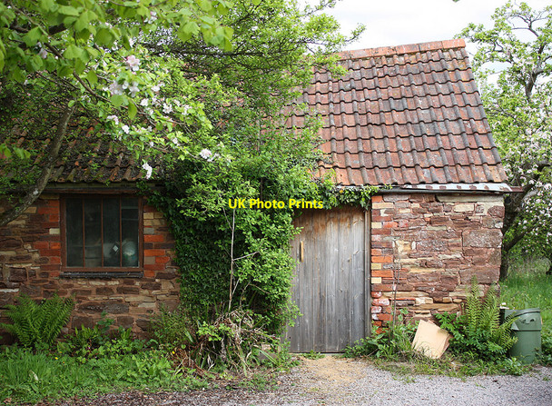 Photo 6"x4" Outbuilding, Little Gorsley Gorsley c2010